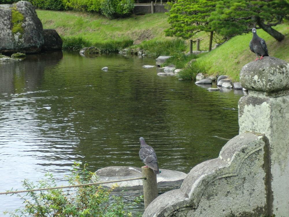 Suizenji Comfort Hotel Kumamoto Esterno foto